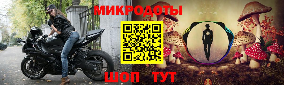 Галлюциногенные грибы Psilocybe Туапсе