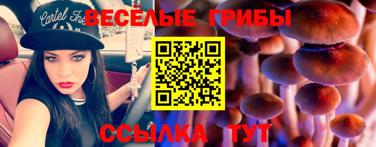 Галлюциногенные грибы мицелий  Галлюциногенные грибы мицелий  Вход с VPN  Туапсе 